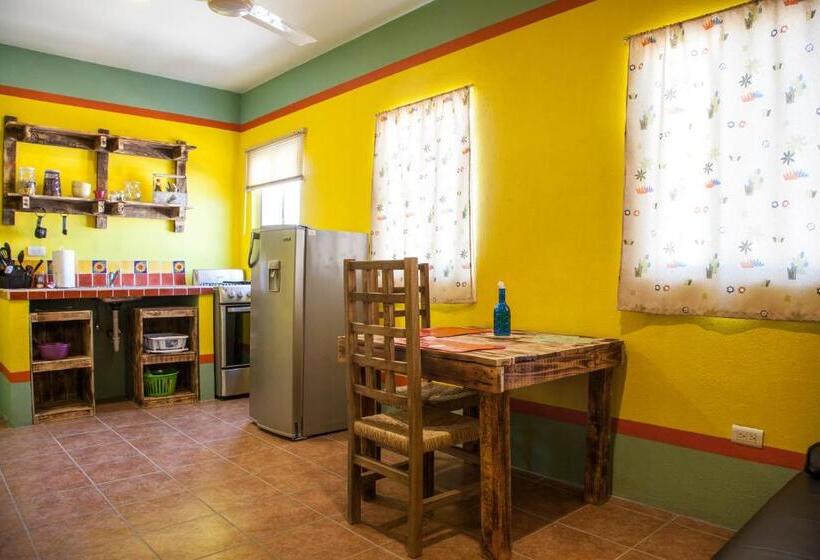 Апартаменты 1 Спальня Вид на Бассейн, Casa Juarez B&b