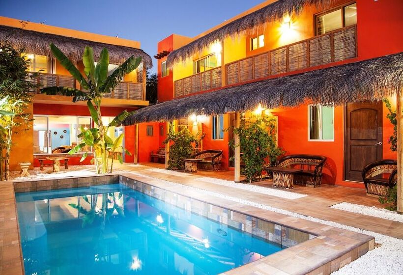 Habitación Estándar, Casa Juarez B&b