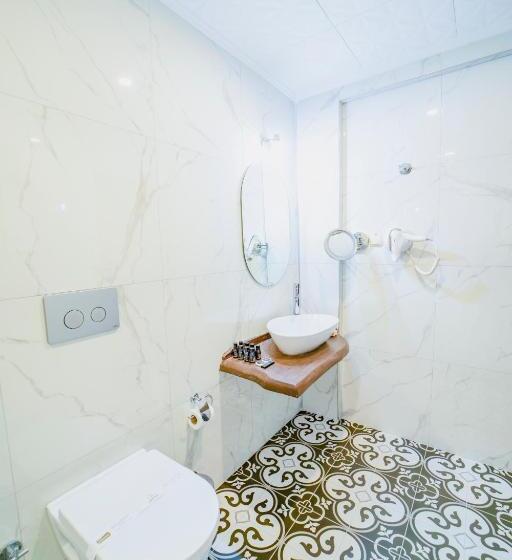 اتاق استاندارد با چشم‌انداز باغ, Aksular