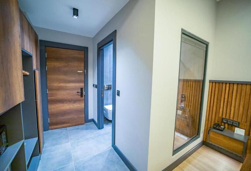 اتاق استاندارد با چشم‌انداز باغ, Aksular