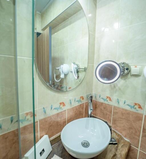 اتاق استاندارد با چشم‌انداز باغ, Aksular