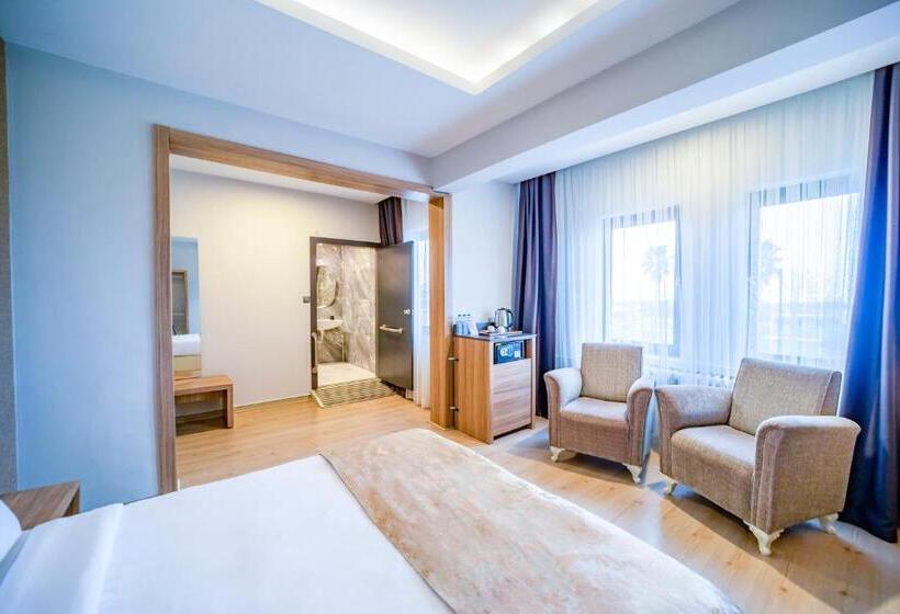 اتاق خانوادگی با چشم‌انداز دریا, Aksular