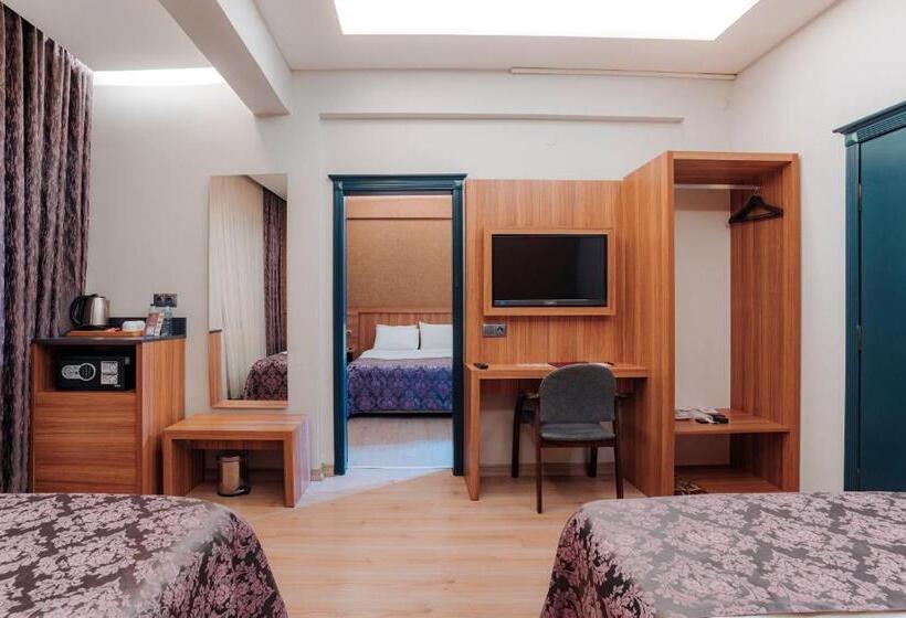 اتاق خانوادگی با چشم‌انداز دریا, Aksular