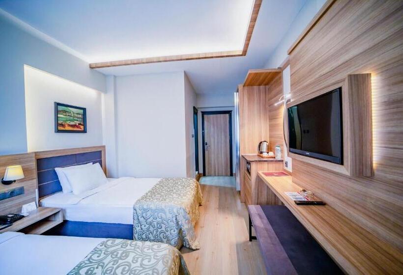 اتاق استاندارد با چشم‌انداز شهر, Aksular