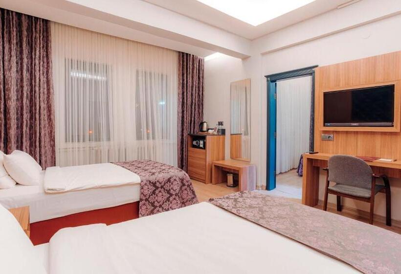 اتاق خانوادگی با چشم‌انداز دریا, Aksular