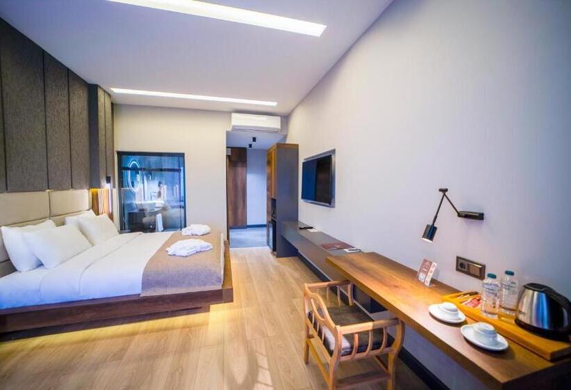 Suite Cama King, Aksular