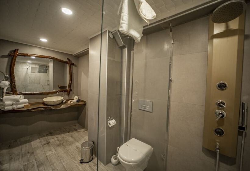 Deluxe Suite Sea View, Aksular