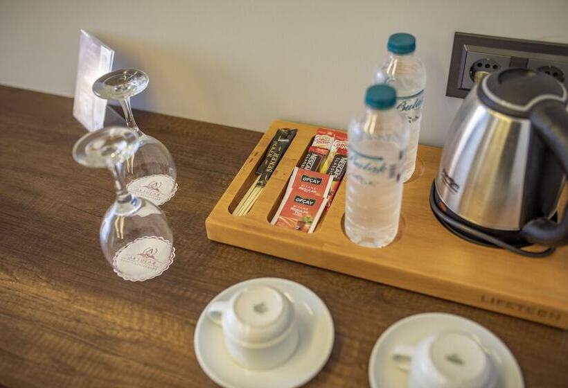 اتاق استاندارد, Aksular