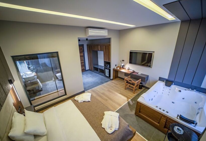 اتاق استاندارد, Aksular