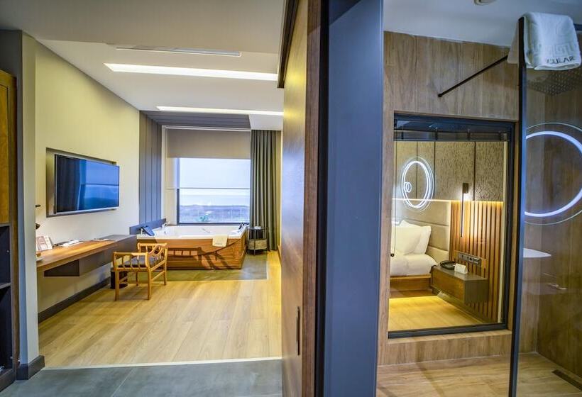 اتاق استاندارد, Aksular