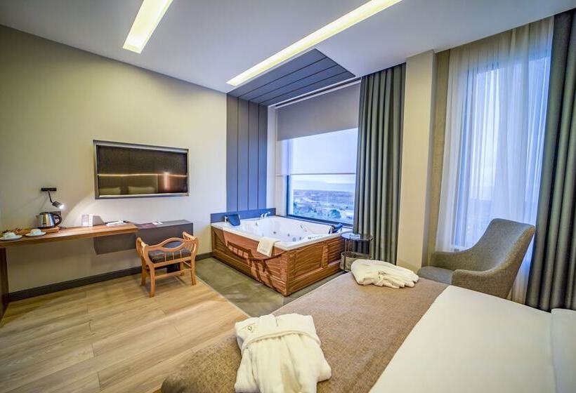 اتاق استاندارد, Aksular