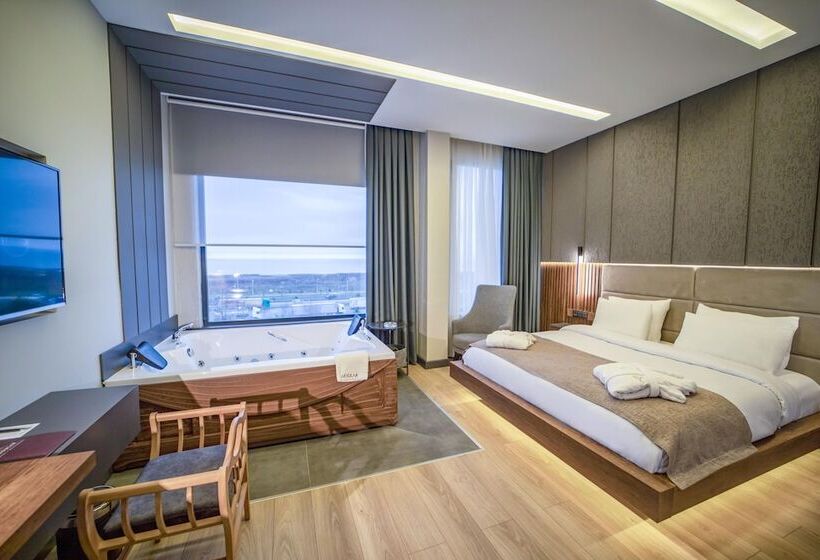 اتاق استاندارد, Aksular