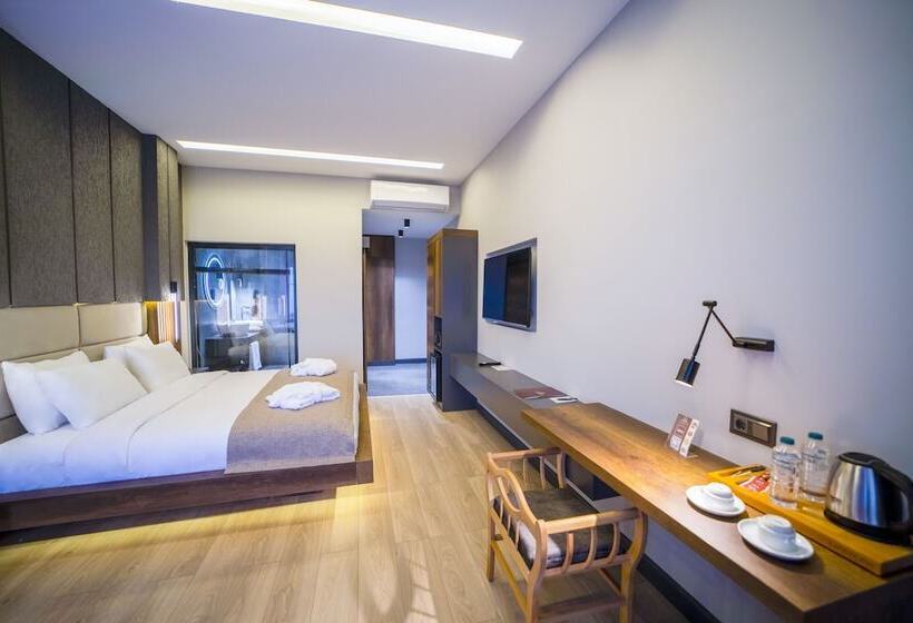 اتاق استاندارد, Aksular