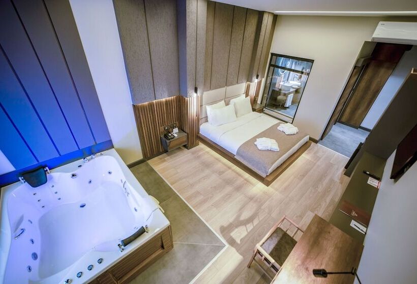 اتاق استاندارد, Aksular