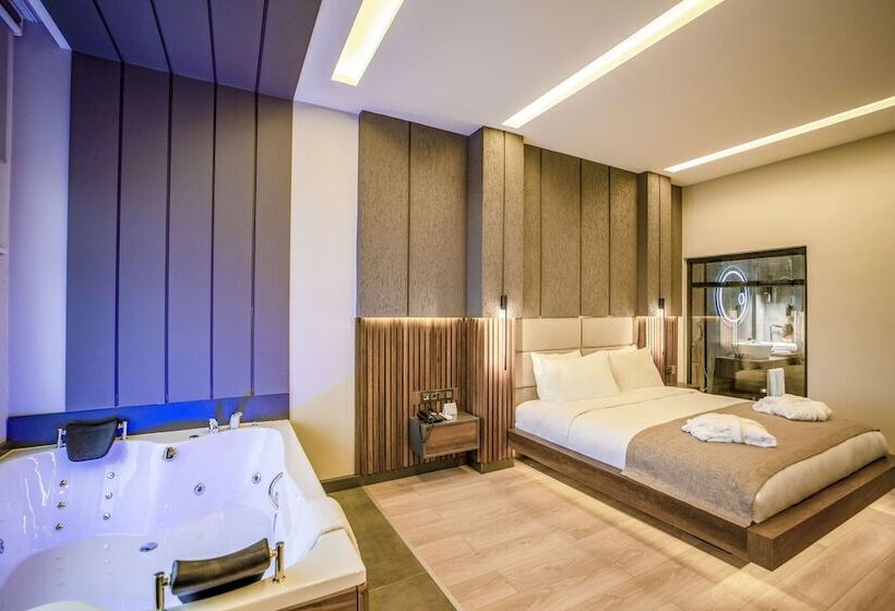 اتاق استاندارد, Aksular