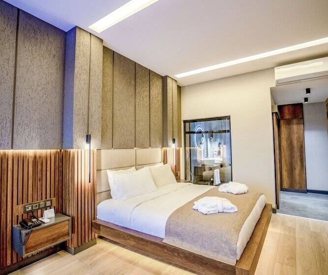 اتاق استاندارد, Aksular