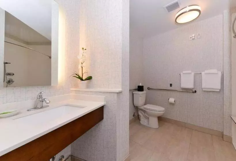 身障者適用スイートルーム, Holiday Inn Express & Suites Salem, An Ihg