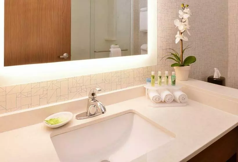 身障者適用キングサイズベッドルーム, Holiday Inn Express & Suites Salem, An Ihg