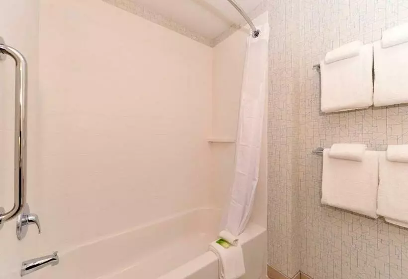 スタンダードルーム, Holiday Inn Express & Suites Salem, An Ihg