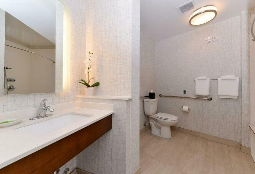 身障者適用キングサイズベッドルーム, Holiday Inn Express & Suites Salem, An Ihg