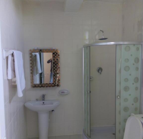 Семейный Номер, Zan Seyoum Hotel Lalibela