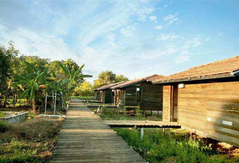 Quarto Estandar, Pangarh Lake Retreat