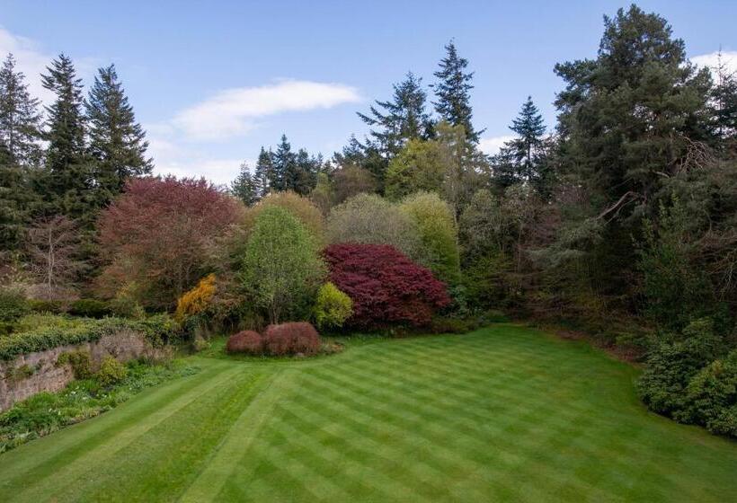 수피리어 룸 가든 전망, Lysnagreyne