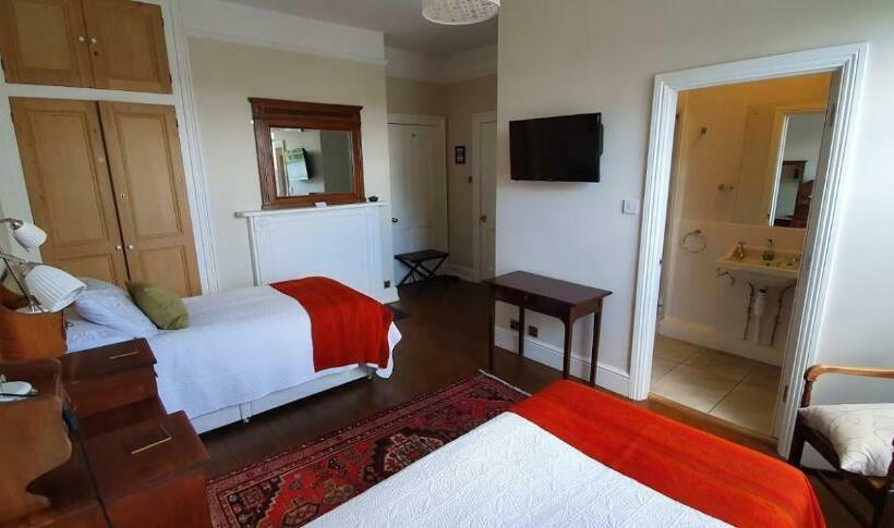 غرفة قياسية, The Lions