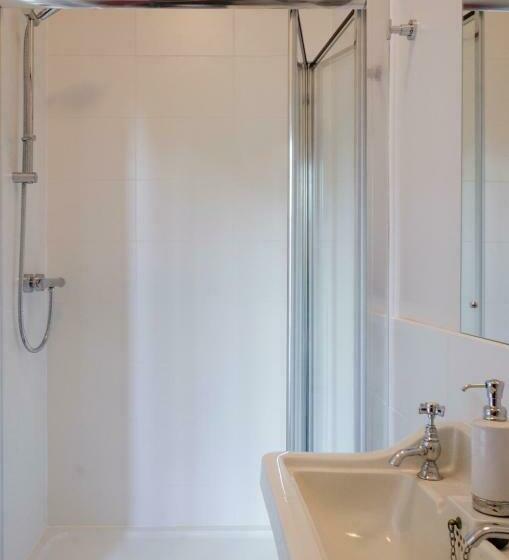 غرفة قياسية, The Lions