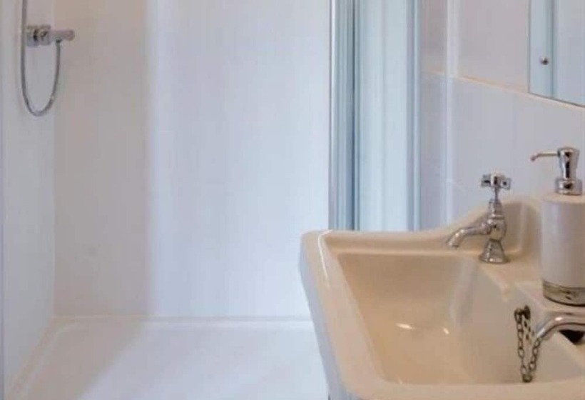 غرفة قياسية, The Lions