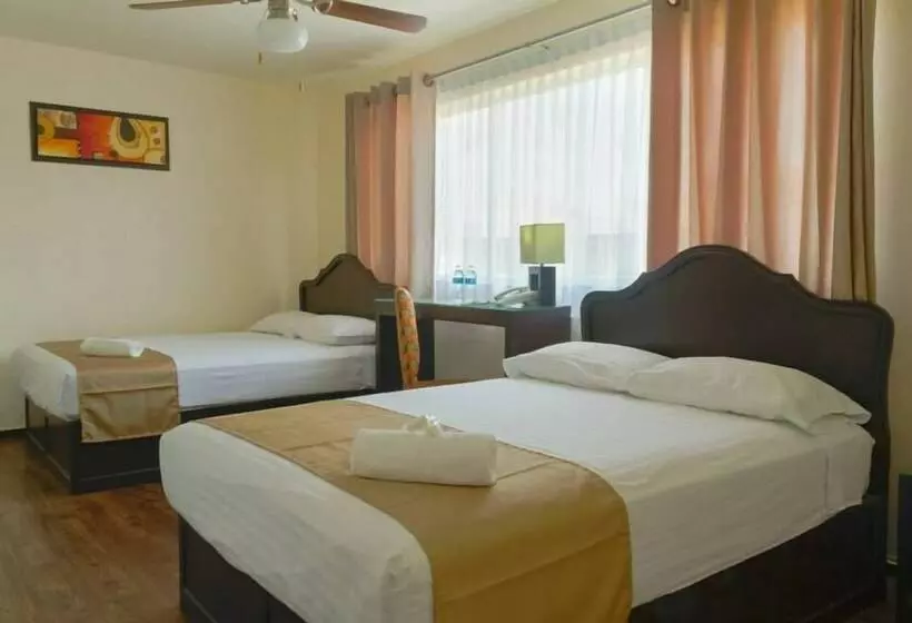 Standard Room, Avenida