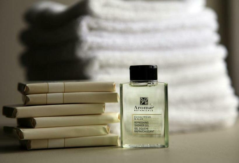 غرفة قياسية سرير كينج, Hôtel Mingan