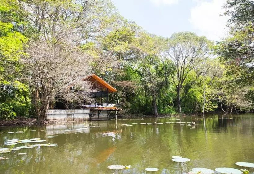 シャレー1寝室, Kalundewa Retreat
