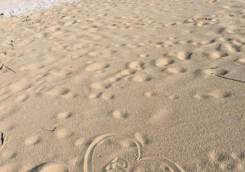 Standard-huone, H Villa