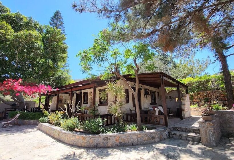 סטודיו סטנדרטי נוף לים, Studios Stella & Stella S Traditional