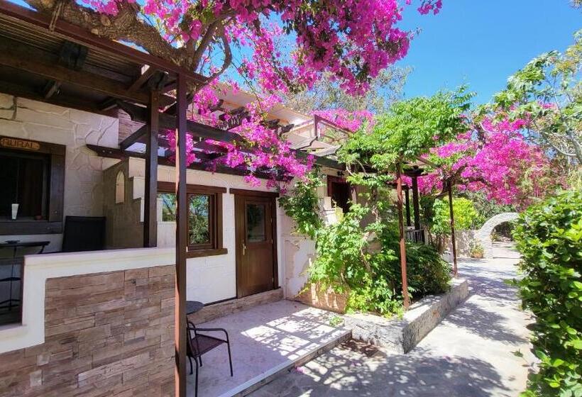 חדר סטנדרט עם מרפסת, Studios Stella & Stella S Traditional