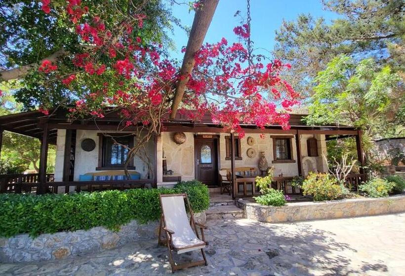 סטודיו סטנדרטי נוף לים, Studios Stella & Stella S Traditional