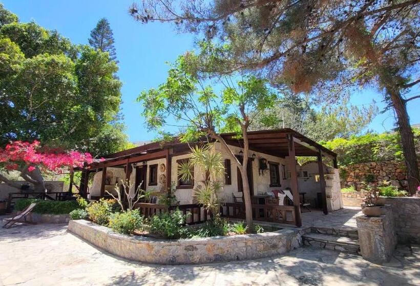 סטודיו סטנדרטי נוף לים, Studios Stella & Stella S Traditional