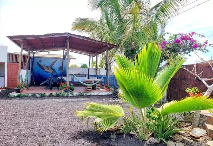 اتاق استاندارد چهارنفره با چشم‌انداز باغ, Hospedaje Delfin Azul