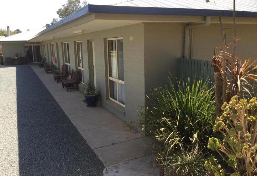 חדר סטנדרט, Sunrise Motel