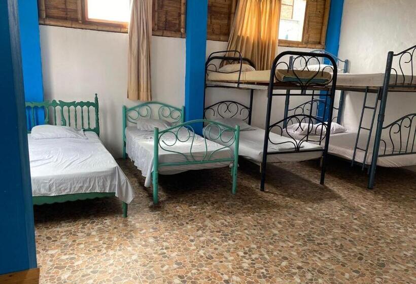 غرفة قياسية, Playa Suites & Apartments Malecon