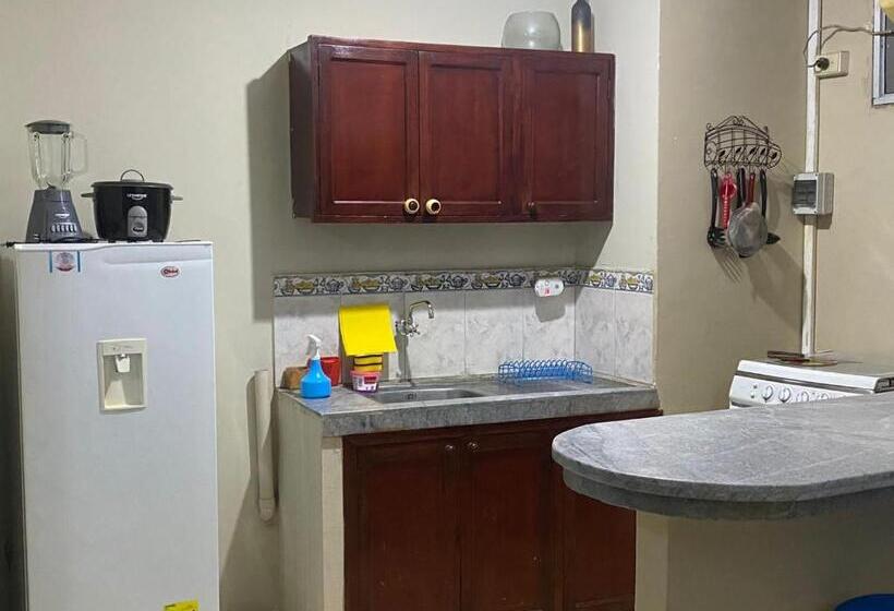 شقة غرفة واحدة, Playa Suites & Apartments Malecon