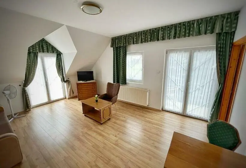 Standard-huone, Főnix Wellness Panzió Hévíz