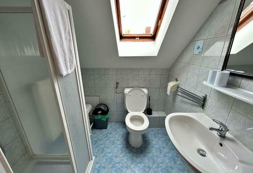 غرفة قياسية, Főnix Wellness Panzió Hévíz