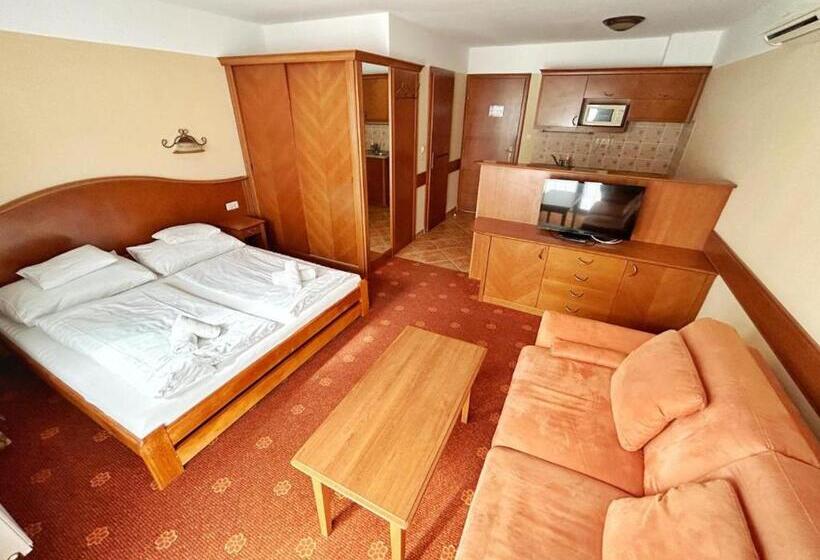 جناح ديلوكس سرير كينج, Főnix Wellness Panzió Hévíz