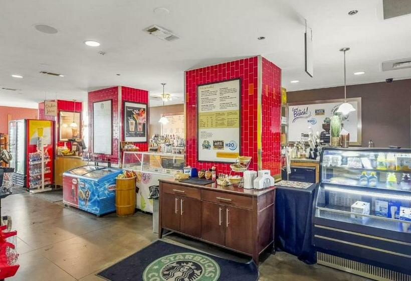 شقة غرفة واحدة مطلة على البحر, Soul Happy Majestic Beach