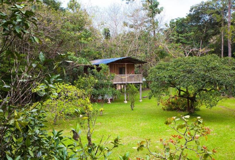 اتاق استاندارد سه تخته با بالکن, Finca Ixobel