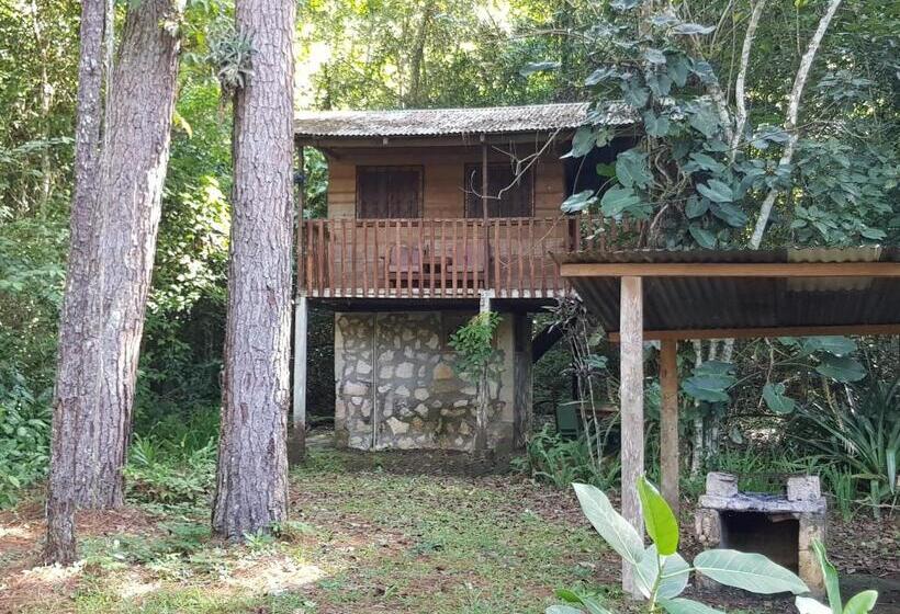 اتاق لوکس, Finca Ixobel