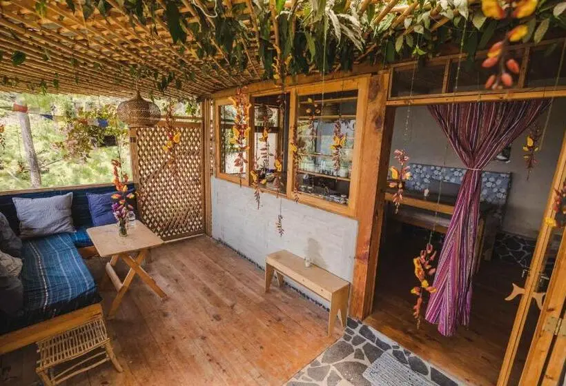 استودیوی استاندارد, Baraka Atitlán