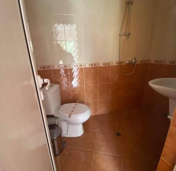 סטודיו משפחתי, Guest House Kostovi